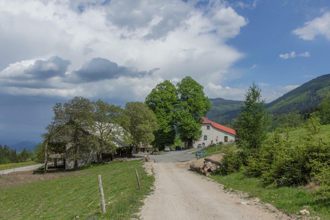 Smještaj na farmi Turisticna Kmetija Toman Gornji Grad